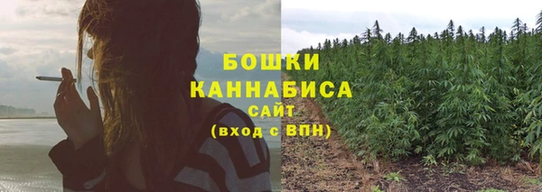 скорость Богородск