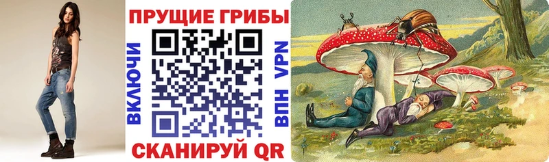 OMG tor  Усть-Илимск  Галлюциногенные грибы MAGIC MUSHROOMS 